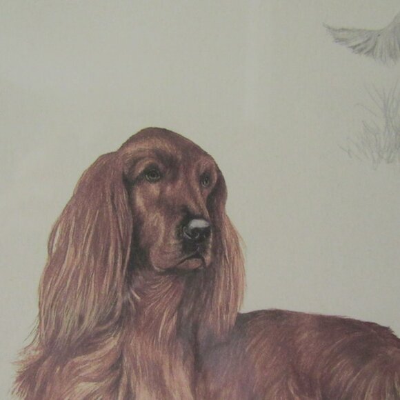 NIGEL HEMMING SIGNED PRINT/IRISH SETTERS 23 X 19 INCHES - Picture 9 of 11